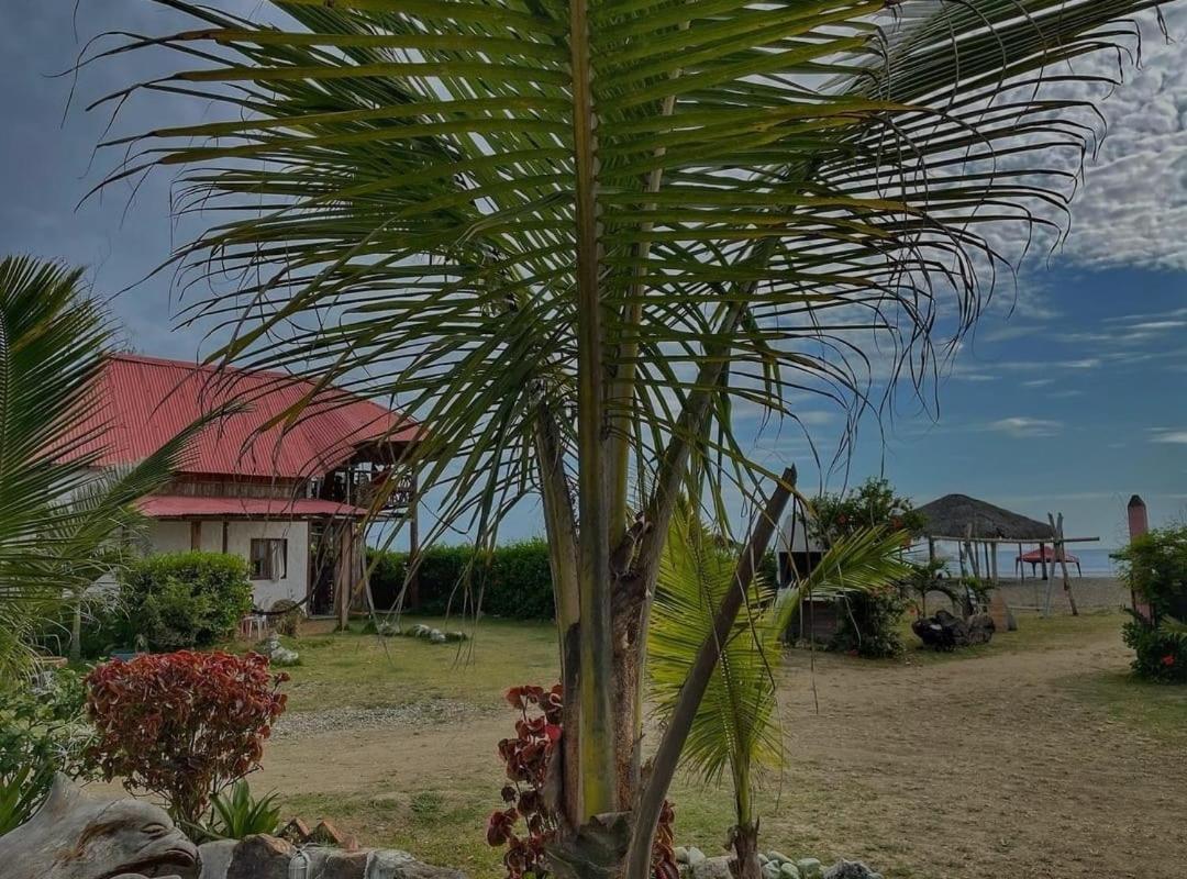 Hotel Palma Coco Ayampe Exteriér fotografie